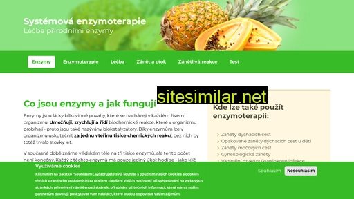 enzymoterapie.cz alternative sites