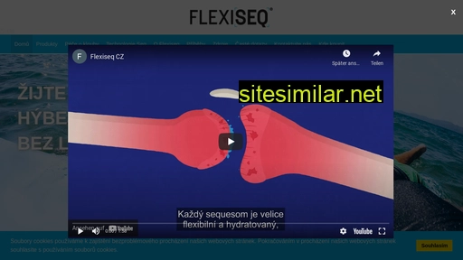 flexiseq.cz alternative sites