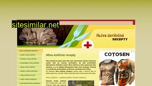 hliva-ustricna-recepty.cz alternative sites