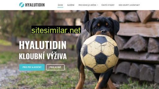 hyalutidin.cz alternative sites