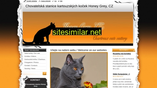 kartouzska-kocka.cz alternative sites