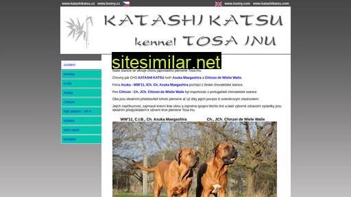 katashikatsu.cz alternative sites