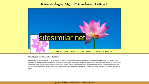 kineziologie-plzen.cz alternative sites