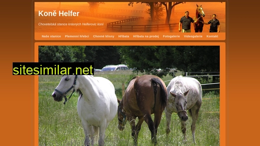 kone-helfer.cz alternative sites