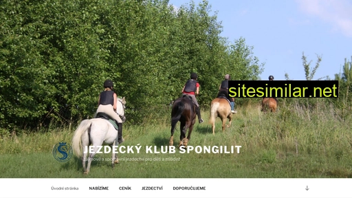 kone-spongilit.cz alternative sites