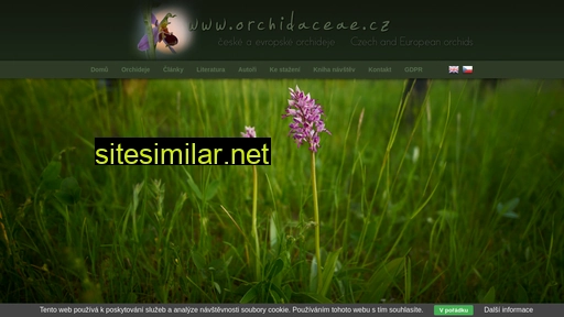 Orchidaceae similar sites