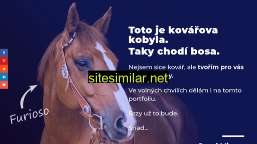 pavelmizera.cz alternative sites