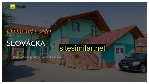 penzion-vinarskydum.cz alternative sites