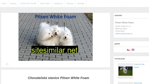 pilsenwhitefoam.cz alternative sites