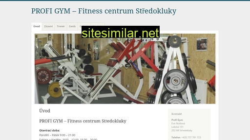 profi-gym.cz alternative sites