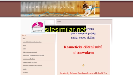 psisalonberuska.cz alternative sites