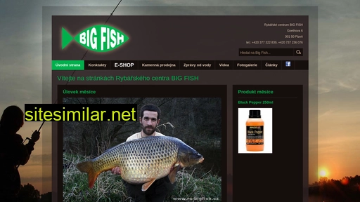 rc-bigfish.cz alternative sites