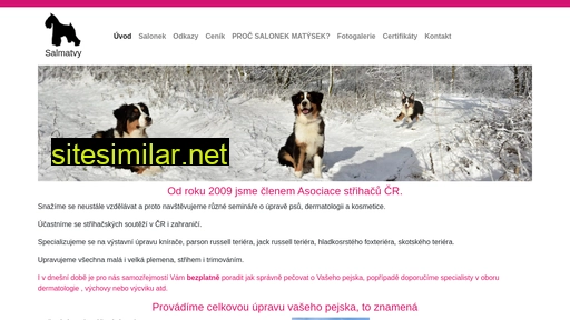 salmatvy.cz alternative sites
