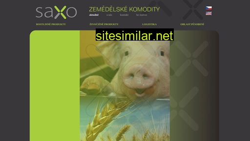 saxo.cz alternative sites