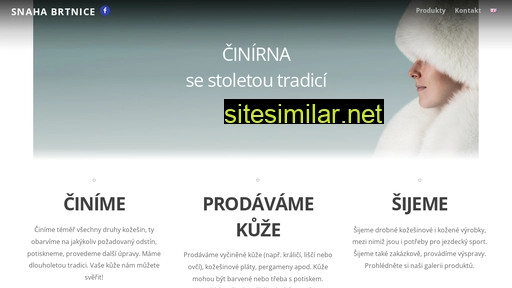 snaha-brtnice.cz alternative sites