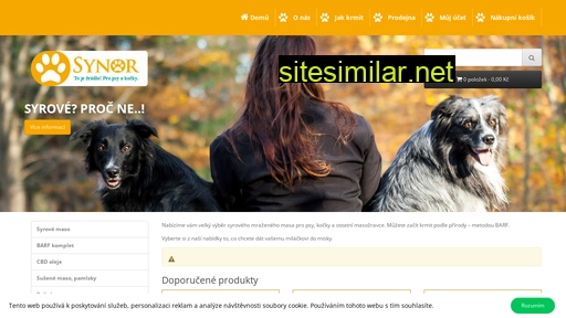 synor.cz alternative sites