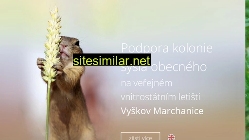 syselvyskov.cz alternative sites