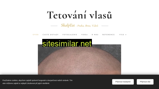 tetovanivlasubrno.cz alternative sites