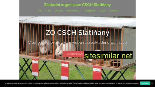 zocschslatinany.cz alternative sites