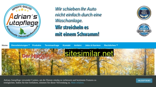 adrians-autopflege.de alternative sites