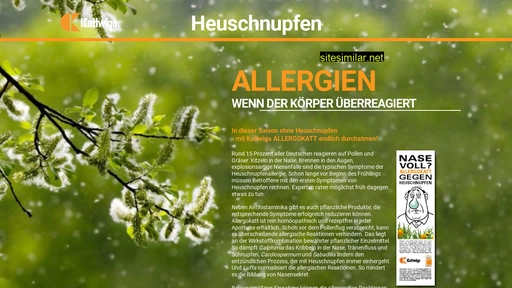 allergokatt.de alternative sites