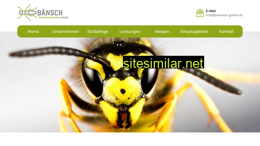 baensch-gmbh.de alternative sites