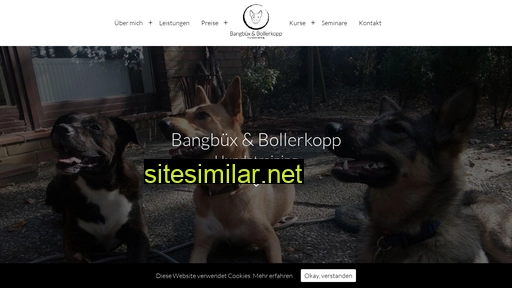 bb-hundetraining.de alternative sites