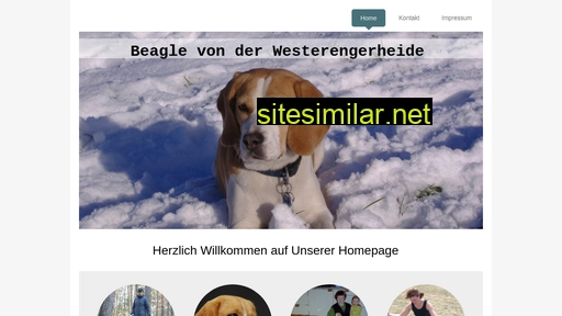 beagle-von-der-westerengerheide.de alternative sites