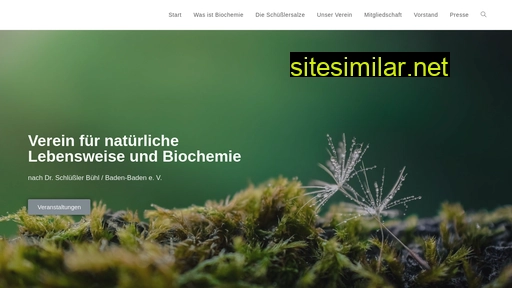 biochemischer-verein-buehl.de alternative sites