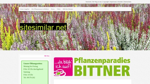 bittner-pflanzen.de alternative sites