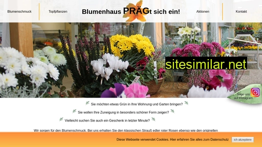 blumen-praeg.de alternative sites