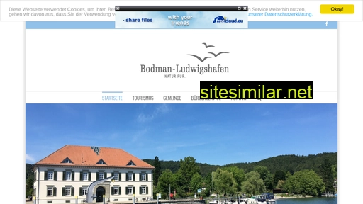 bodmann-ludwigshafen.de alternative sites