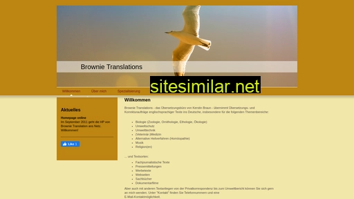 Brownie-translations similar sites