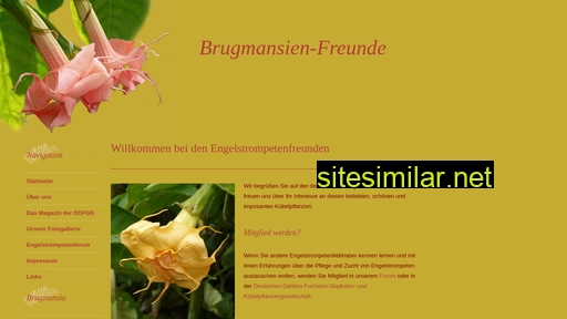 Brugmansienfreunde similar sites