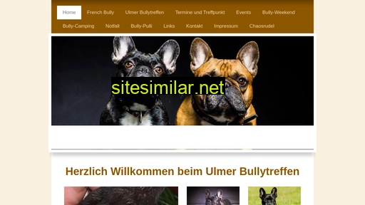 bullytreffen-ulm.de alternative sites