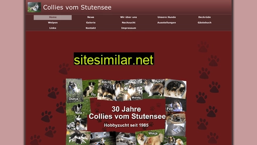 collies-vom-stutensee.de alternative sites
