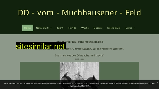 dd-vom-muchhausener-feld.de alternative sites