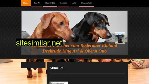 deutscher-pinscher-king-ari.de alternative sites