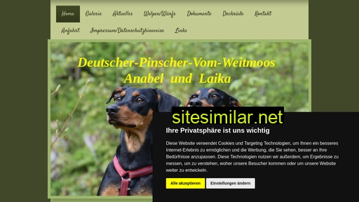 deutscher-pinscher-vom-weitmoos.de alternative sites