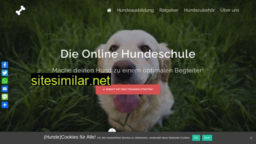 die-onlinehundeschule.de alternative sites
