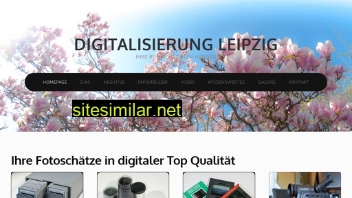 digitalisierung-leipzig.de alternative sites
