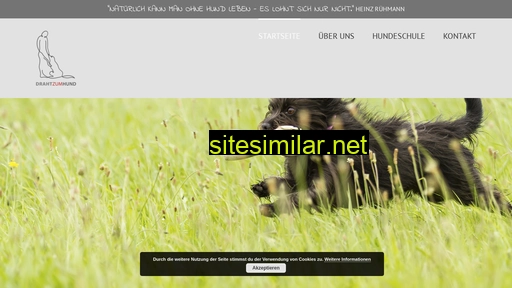 draht-zum-hund.de alternative sites