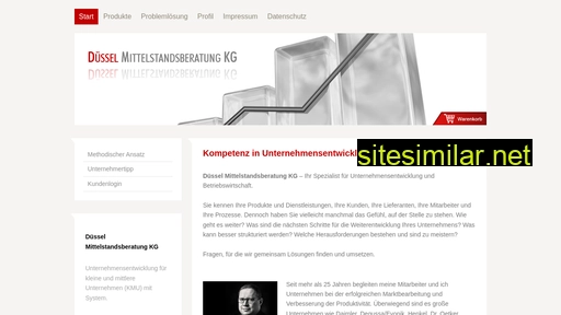 duessel-mittelstandsberatung.de alternative sites