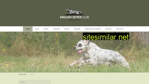 english-setter-club.de alternative sites