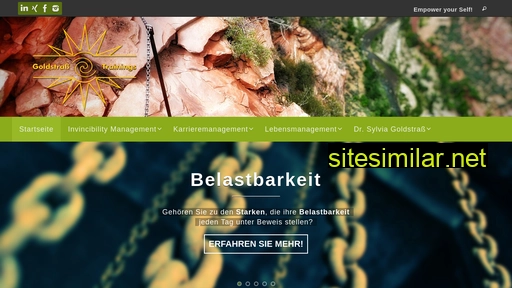 Erfolg-liebt-system similar sites
