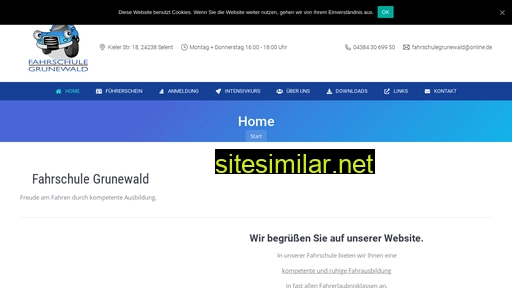 fahrschulegrunewald.de alternative sites