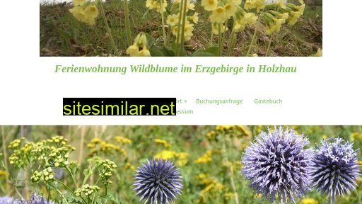 Ferienwohnung-wildblume-erzgebirge similar sites