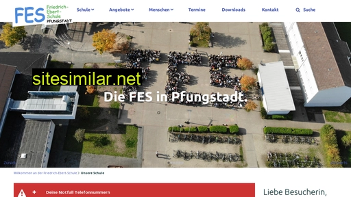 fes-pfungstadt.de alternative sites