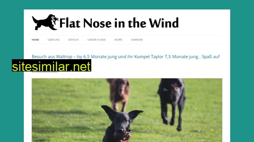 flatnoseinthewind.de alternative sites
