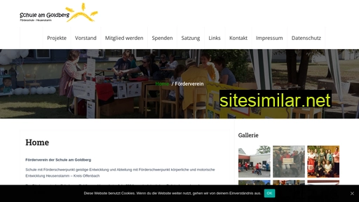 foerderverein-schuleamgoldberg.de alternative sites